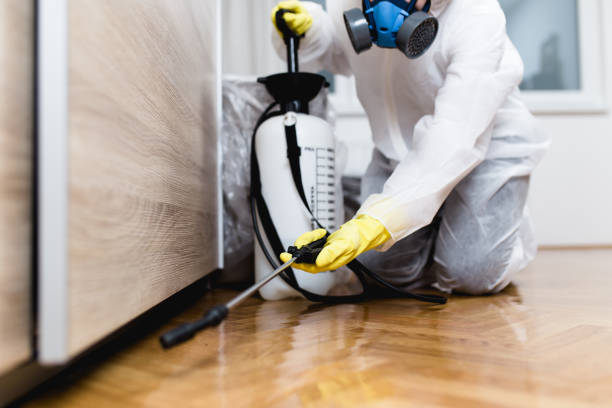 Best Flea Control Services  in Le Mars, IA