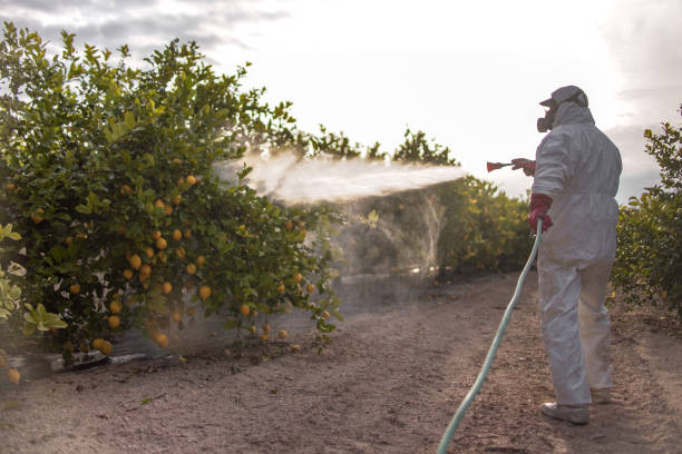 Insect Control in Le Mars, IA