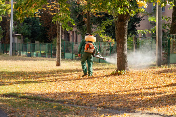 Best Insect Control  in Le Mars, IA