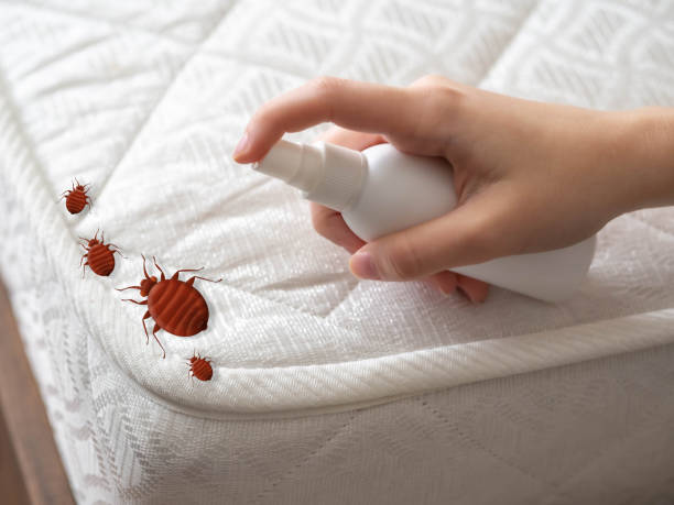 Best Affordable Pest Control Services  in Le Mars, IA