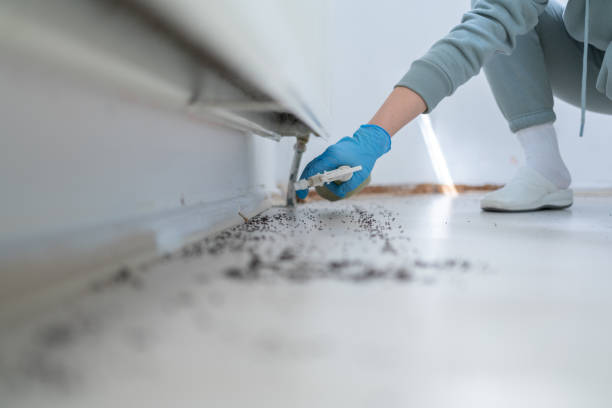 Best Residential Pest Control  in Le Mars, IA